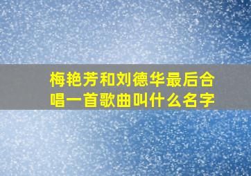 梅艳芳和刘德华最后合唱一首歌曲叫什么名字