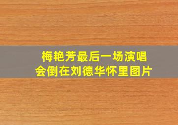 梅艳芳最后一场演唱会倒在刘德华怀里图片