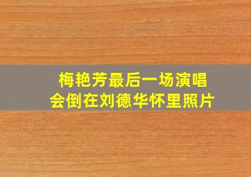 梅艳芳最后一场演唱会倒在刘德华怀里照片