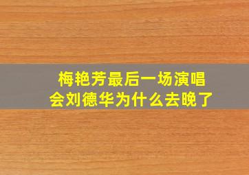 梅艳芳最后一场演唱会刘德华为什么去晚了