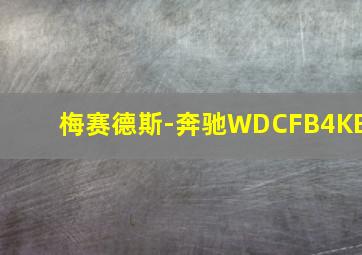 梅赛德斯-奔驰WDCFB4KB