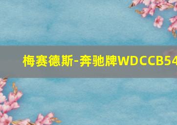 梅赛德斯-奔驰牌WDCCB54E