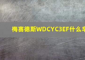 梅赛德斯WDCYC3EF什么车