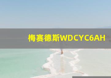 梅赛德斯WDCYC6AH