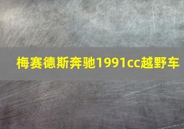 梅赛德斯奔驰1991cc越野车