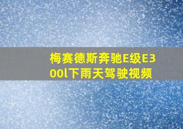 梅赛德斯奔驰E级E300l下雨天驾驶视频