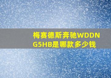 梅赛德斯奔驰WDDNG5HB是哪款多少钱