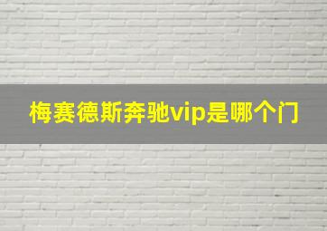 梅赛德斯奔驰vip是哪个门