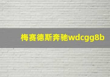 梅赛德斯奔驰wdcgg8b