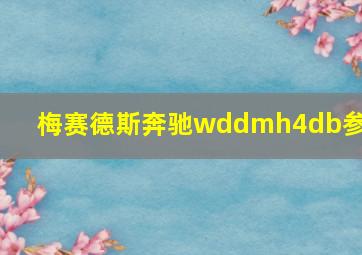 梅赛德斯奔驰wddmh4db参数