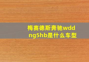 梅赛德斯奔驰wddng5hb是什么车型