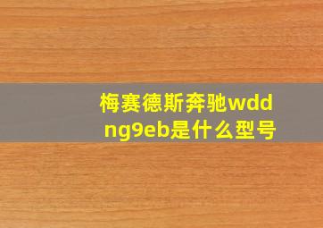 梅赛德斯奔驰wddng9eb是什么型号