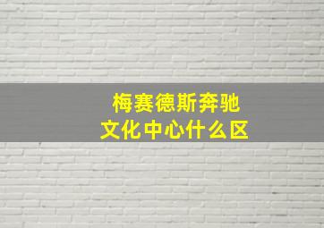 梅赛德斯奔驰文化中心什么区