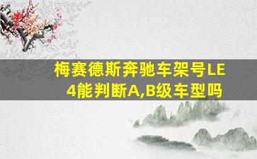 梅赛德斯奔驰车架号LE4能判断A,B级车型吗