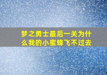 梦之勇士最后一关为什么我的小蜜蜂飞不过去