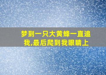 梦到一只大黄蜂一直追我,最后爬到我眼睛上