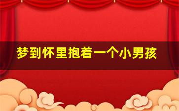 梦到怀里抱着一个小男孩