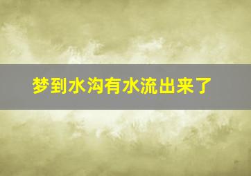 梦到水沟有水流出来了