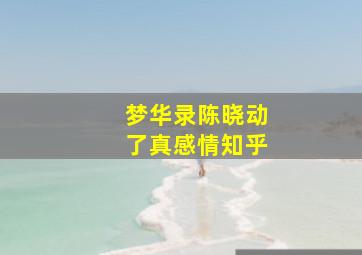 梦华录陈晓动了真感情知乎