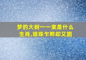 梦的大树一一束是什么生肖,琼珠乍粹却又圆