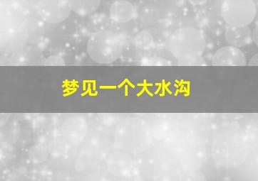 梦见一个大水沟