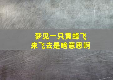 梦见一只黄蜂飞来飞去是啥意思啊