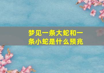 梦见一条大蛇和一条小蛇是什么预兆