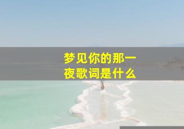 梦见你的那一夜歌词是什么