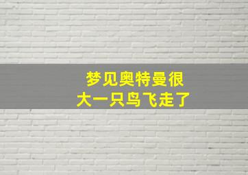 梦见奥特曼很大一只鸟飞走了