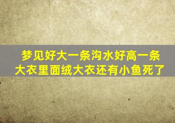 梦见好大一条沟水好高一条大衣里面绒大衣还有小鱼死了