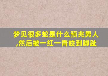 梦见很多蛇是什么预兆男人,然后被一红一青咬到脚趾