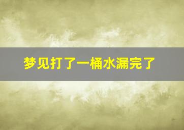 梦见打了一桶水漏完了