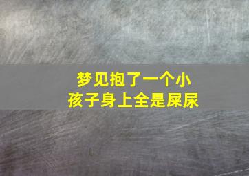 梦见抱了一个小孩子身上全是屎尿