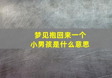 梦见抱回来一个小男孩是什么意思