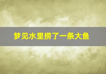 梦见水里捞了一条大鱼