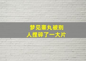 梦见睾丸被别人捏碎了一大片