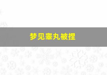 梦见睾丸被捏