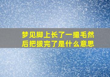 梦见脚上长了一撮毛然后把拔完了是什么意思