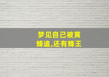 梦见自己被黄蜂追,还有蜂王