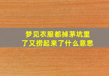 梦见衣服都掉茅坑里了又捞起来了什么意思