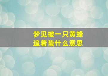 梦见被一只黄蜂追着蛰什么意思