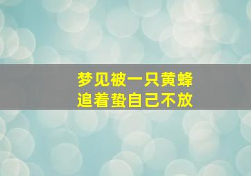 梦见被一只黄蜂追着蛰自己不放