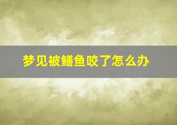 梦见被鳝鱼咬了怎么办