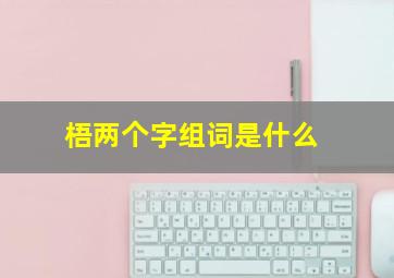 梧两个字组词是什么