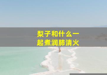 梨子和什么一起煮润肺清火