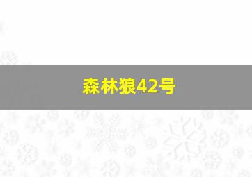 森林狼42号