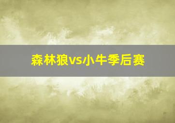 森林狼vs小牛季后赛