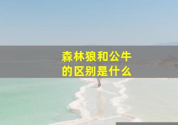 森林狼和公牛的区别是什么