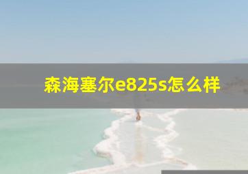 森海塞尔e825s怎么样