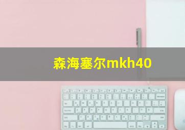 森海塞尔mkh40